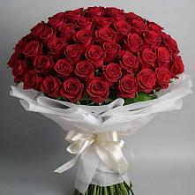 Букет 101 Красная роза Блэк Мэджик в Старотитаровской