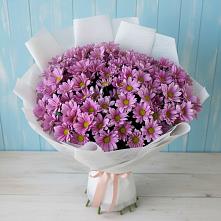 Букет цветов из:  Хризантемы в Старотитаровской